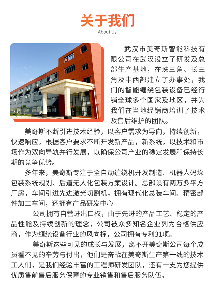 MP303 全自動(dòng)轉(zhuǎn)臺(tái)在線式纏繞包裝機(jī)(圖8)